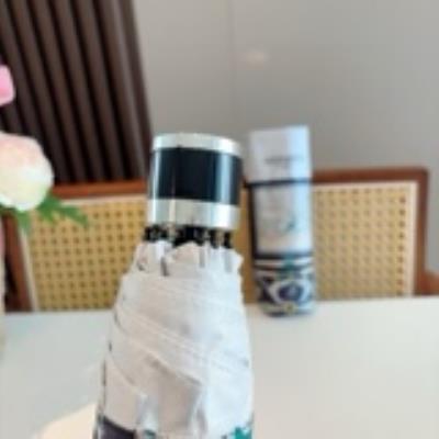 wholesale quality hermes umbrella model no. 6